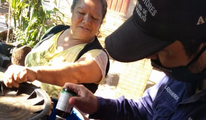 Puerto Iguazú: operativos de prevención de dengue y censos de mascotas.