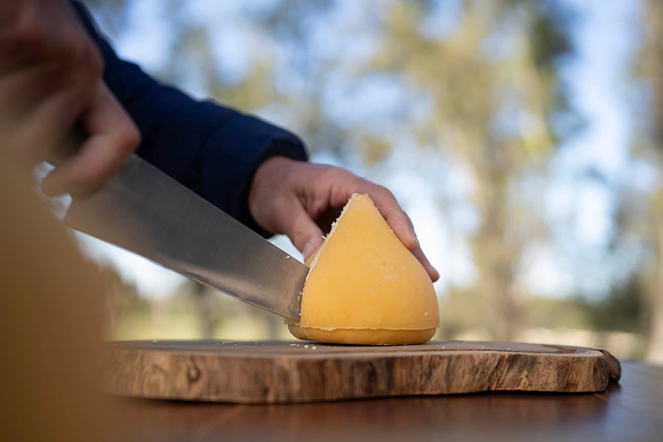 ¿Amante del queso? Tenés que conocer estos trucos para optimizar su uso