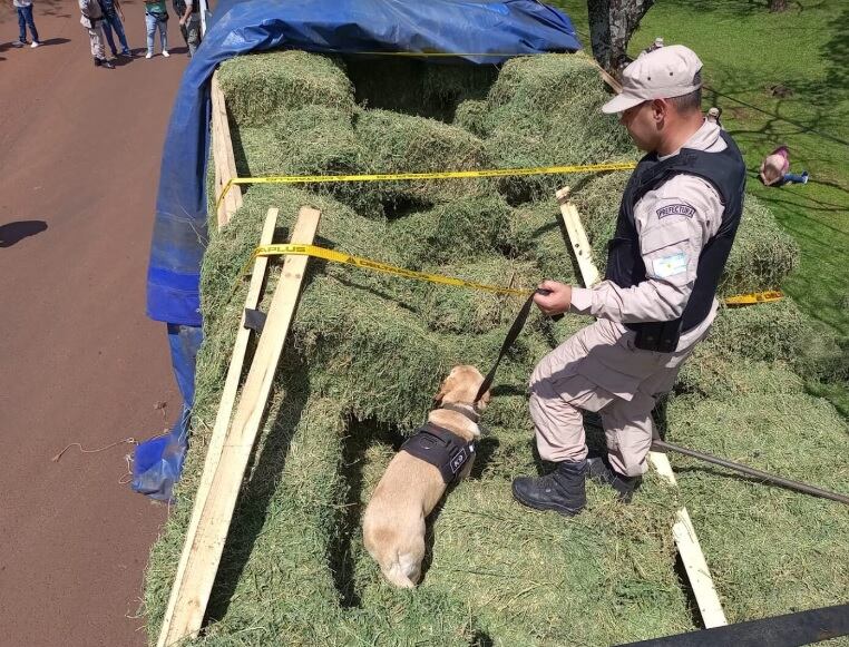 Misiones: secuestran megacargamento de marihuana.