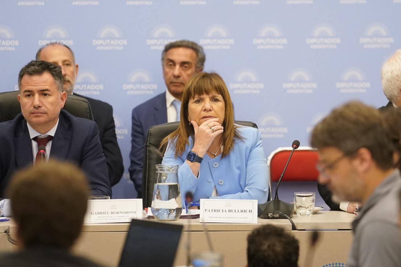 Patricia Bullrich, ministra de Seguridad, en el debate por la "ley ómnibus". (Clarín)