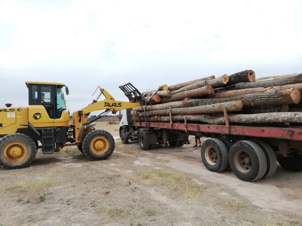 RIGI en Jujuy: los inversores deberán priorizar a proveedores locales