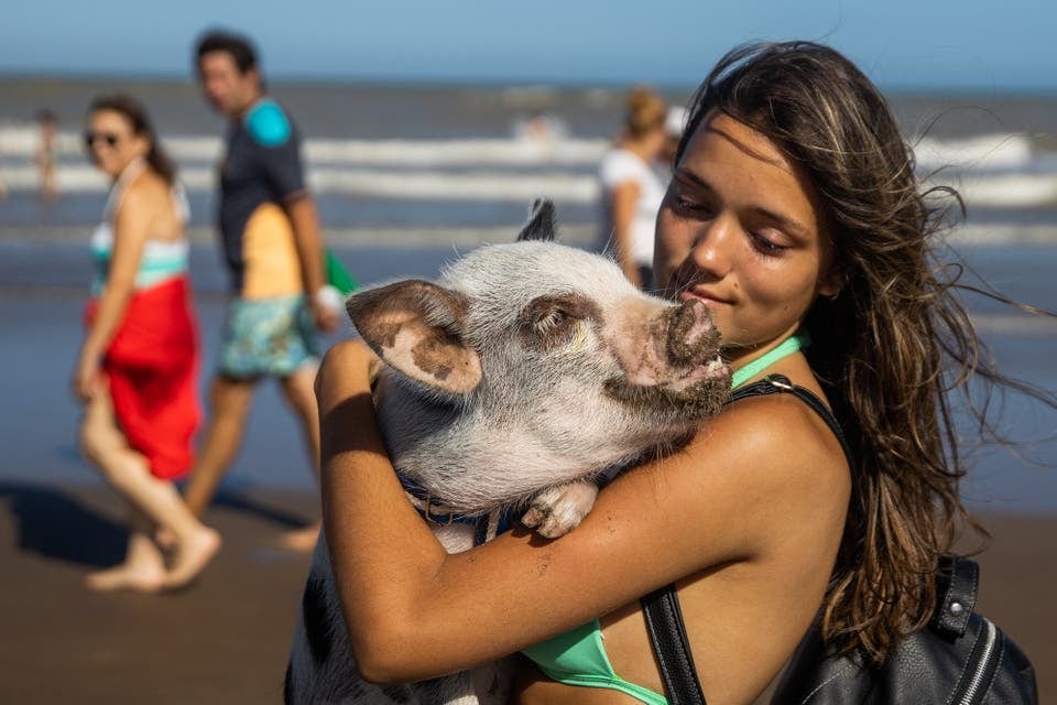 Luciana recibió a "Chanchi" como regalo de cumpleaños en la cuarentena. Foto: La Nación / Tomás Cuesta