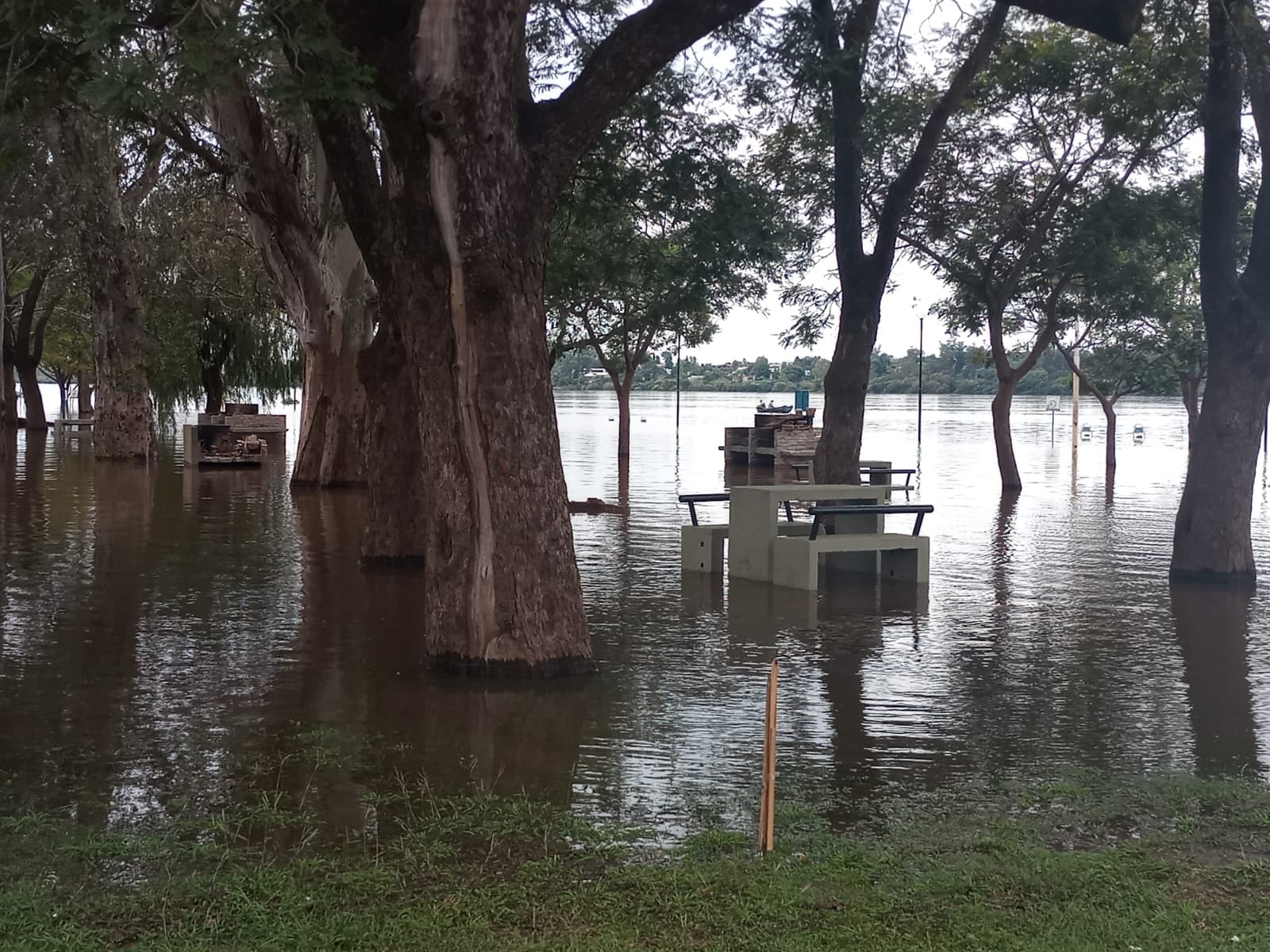 Así se encuentra la Costanera de Concordia.