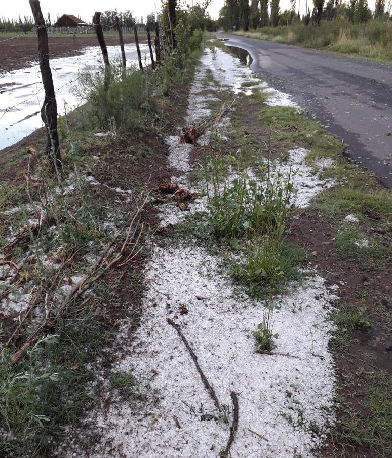 Viento, lluvia y granizo provocaron daños en distintas zonas de San Rafael. Gentileza 