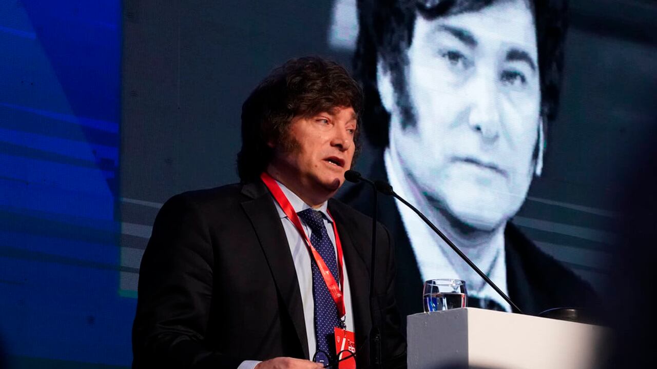 Javier Milei, candidato a presidente de La Libertad Avanza. Foto: Clarín