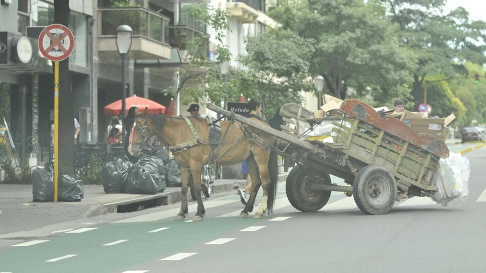 Contraste. Un carrero en la “Media legua cultural” de la ciudad de Córdoba (La Voz/Archivo).