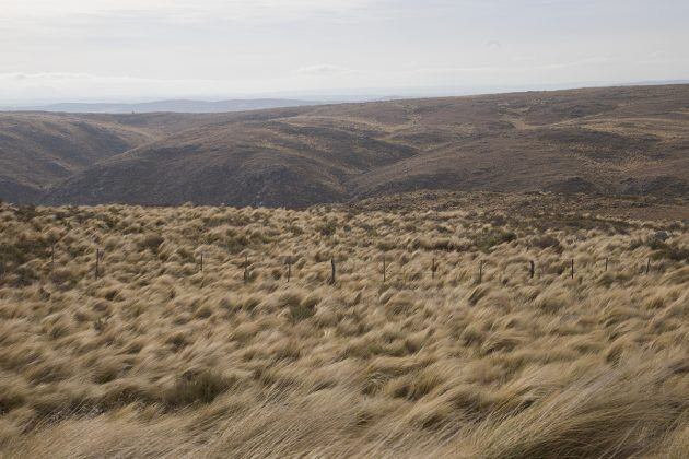 Clima ventoso en San Luis