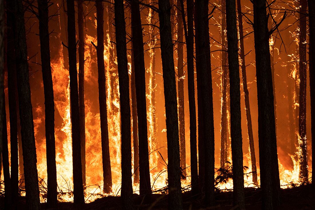 Incendios en la provincia de Corrientes fuego bomberos trabajan sin descanso. (AP Photo/Rodrigo Abd)