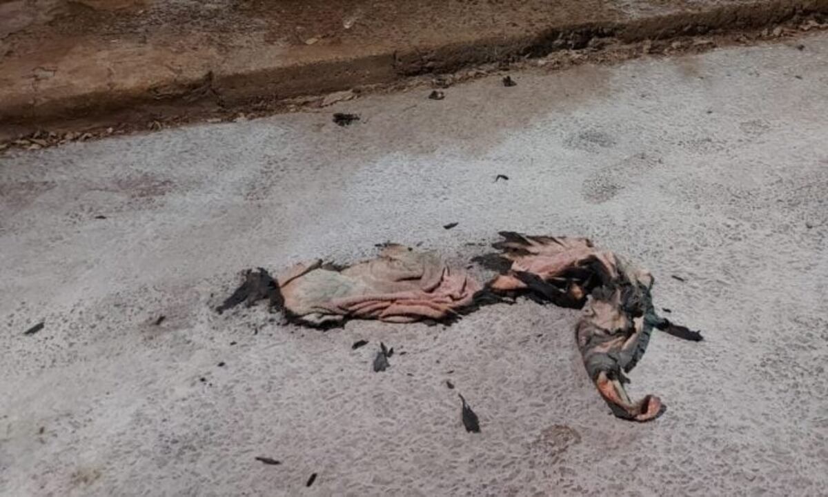 Conmoción en Montecarlo: un hombre falleció tras prenderse fuego en la vía pública
