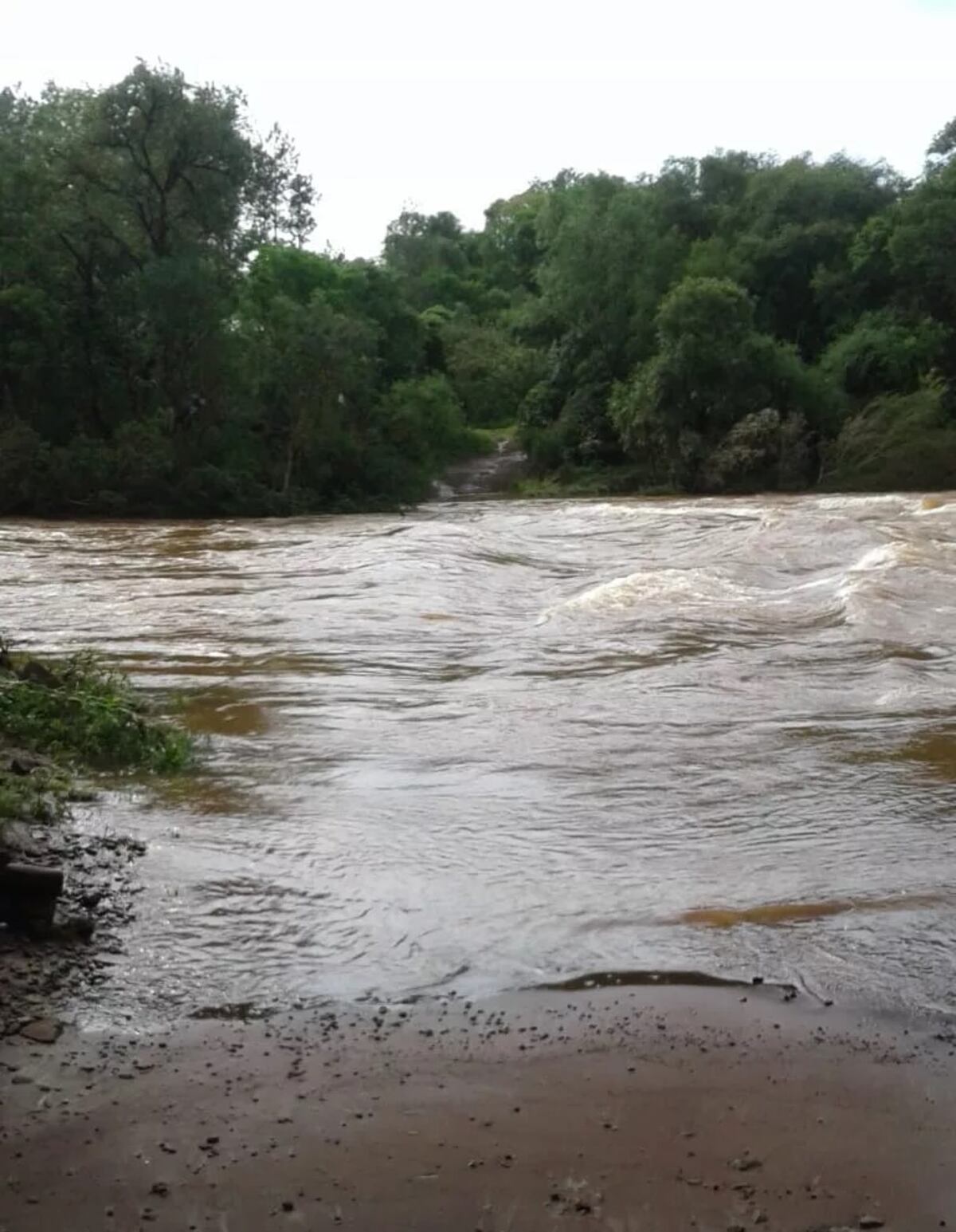 Eldorado: la crecida del río Paraná aisló a familias de Colonia Victoria