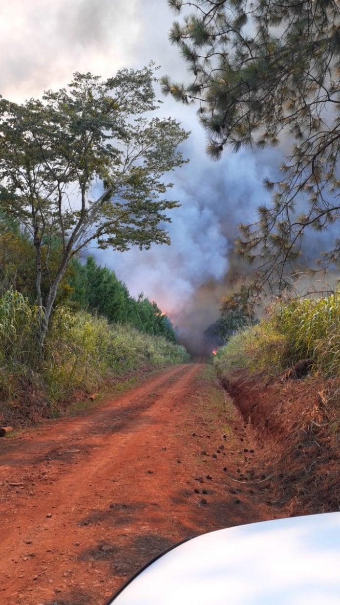 Feroz incendio en inmediaciones de comunidad aborigen en Capioví.