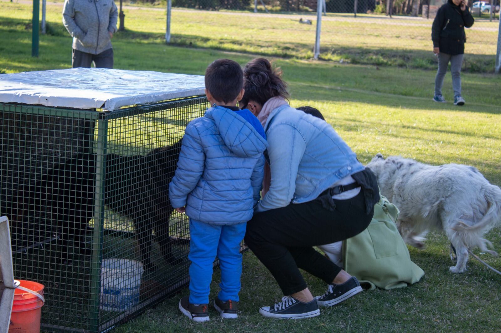 Primera jornada de actividades por el Día del Animal