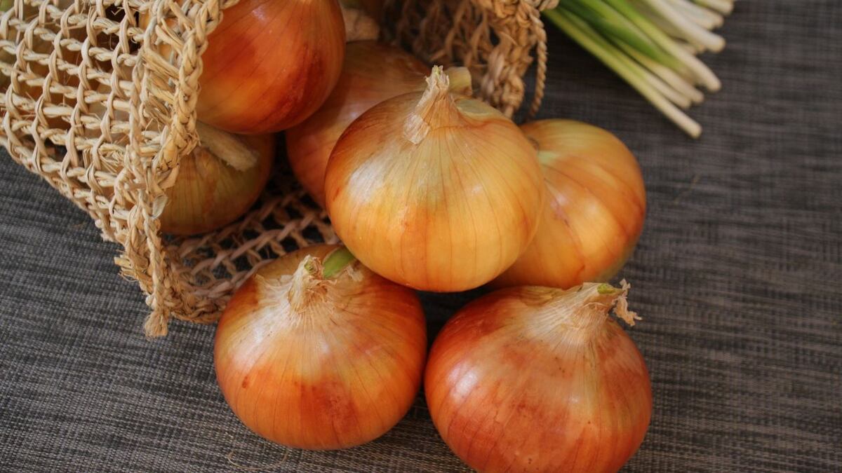 Un tip de ahorro: el truco viral para que la cebolla dure fresca más tiempo