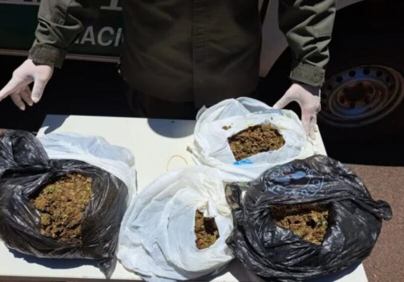 Posadas: Gendarmería Nacional secuestró marihuana en la terminal de ómnibus.