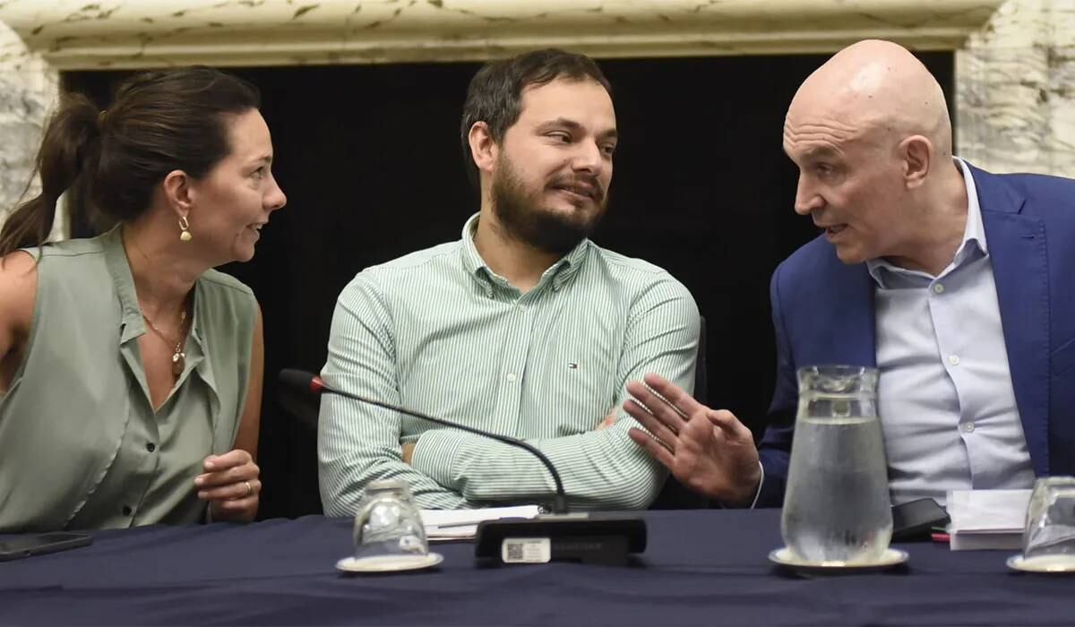 El diputado Martínez en el debate del Congreso.