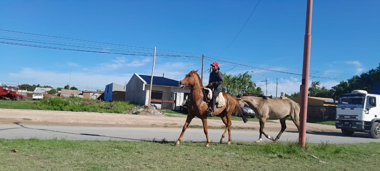 Caravana a caballo y globos blancos para despedir a Agustín en el día de su cumpleaños