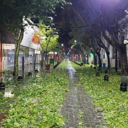 Temporal en Villa Mercedes.