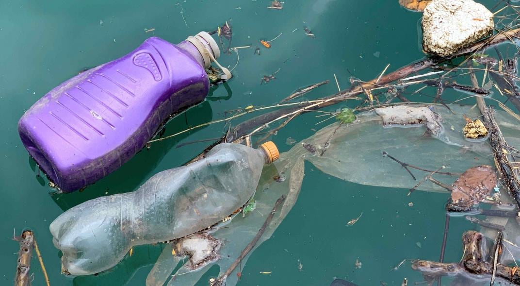 Los irresponsables tiraron basura en el espejo de agua. 