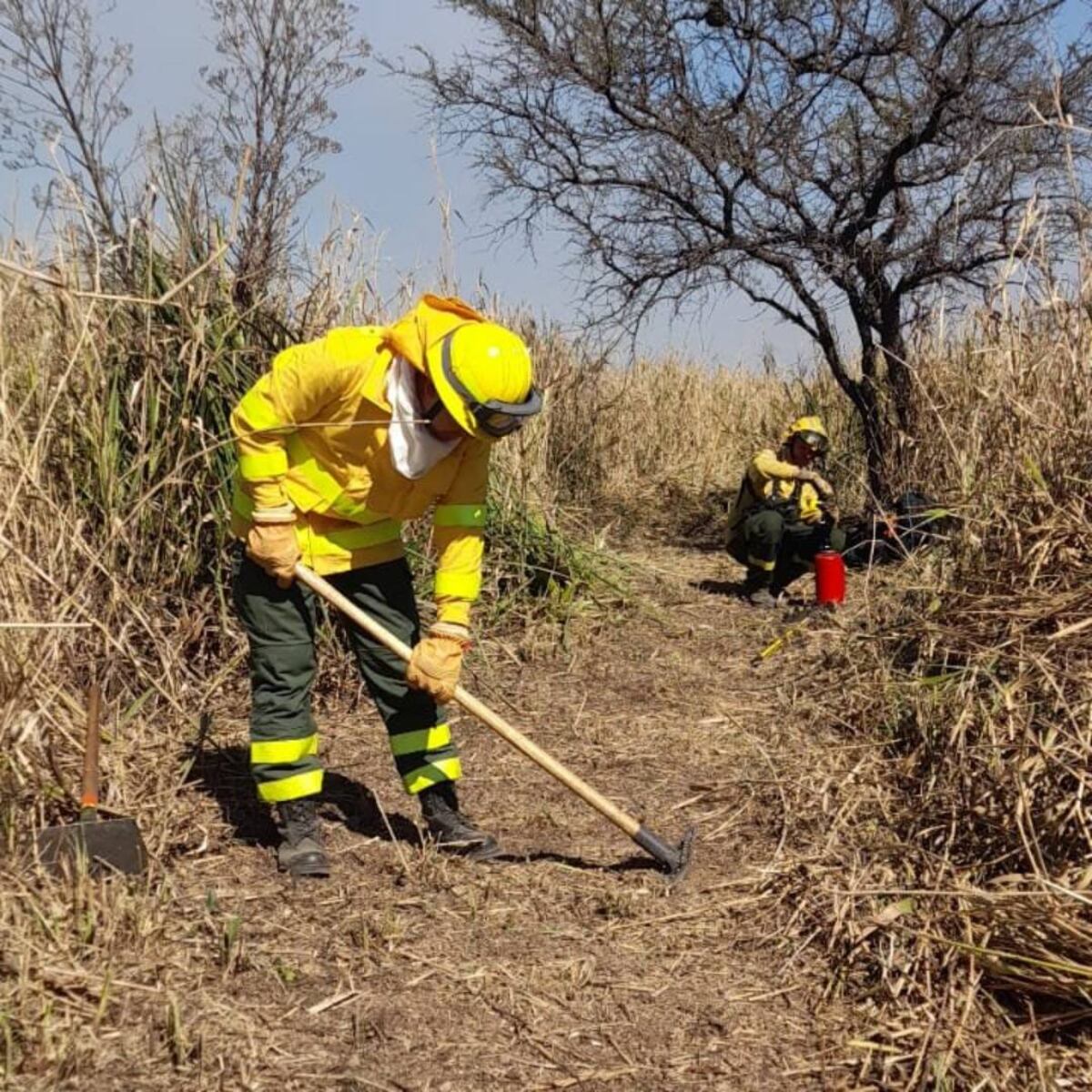 Incendios frente a Rosario: controlaron focos en ruta del puente a Victoria