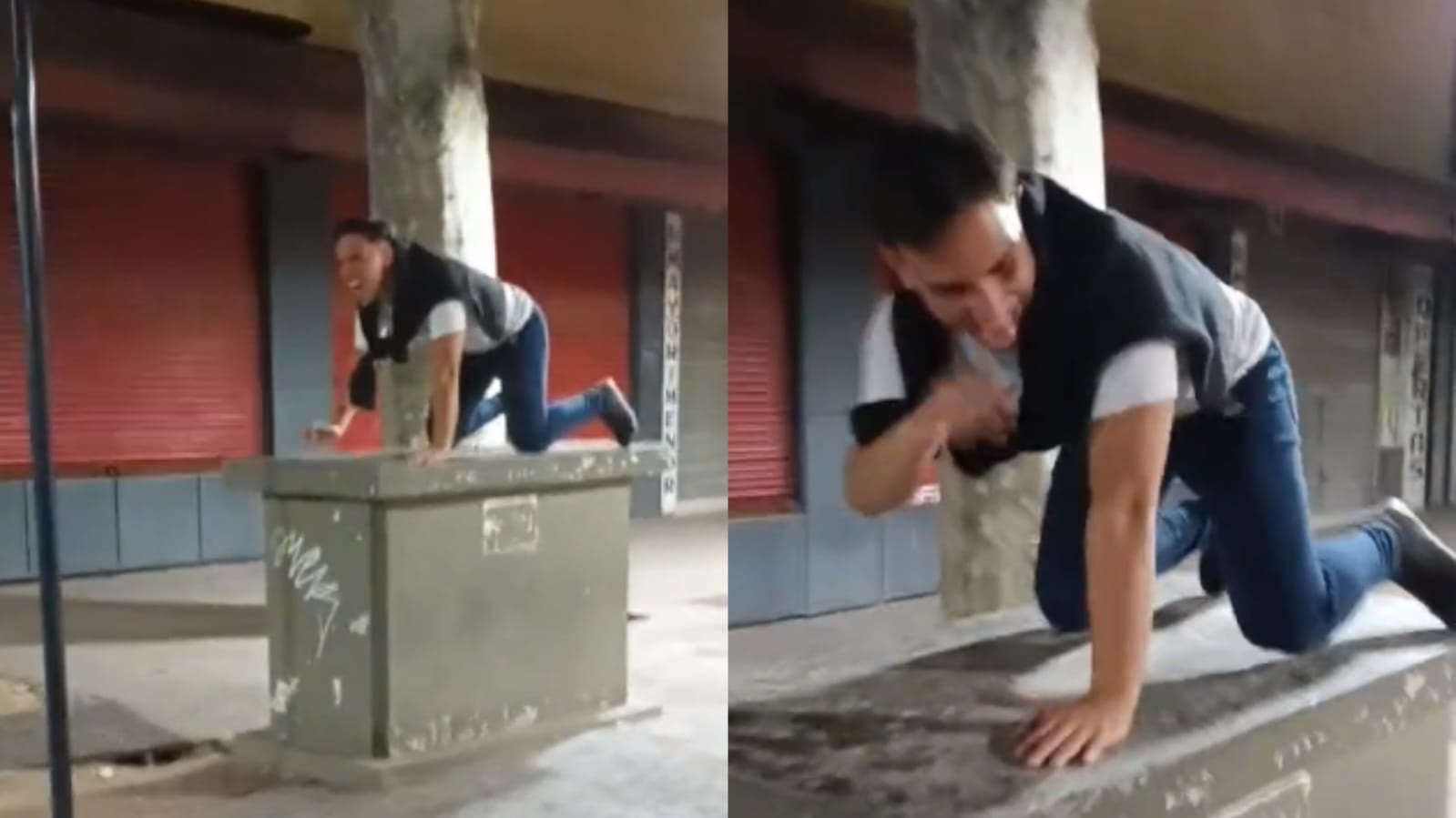 Video viral de Tik Tok: qué pasó con los leones del Paseo de la Alameda.