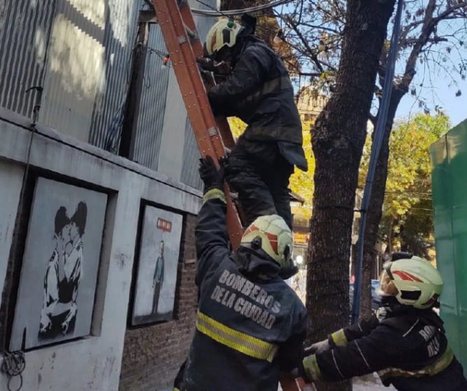 Bomberos de la Ciudad trabajando para apagar las llamas en el "Patio de los Lecheros".