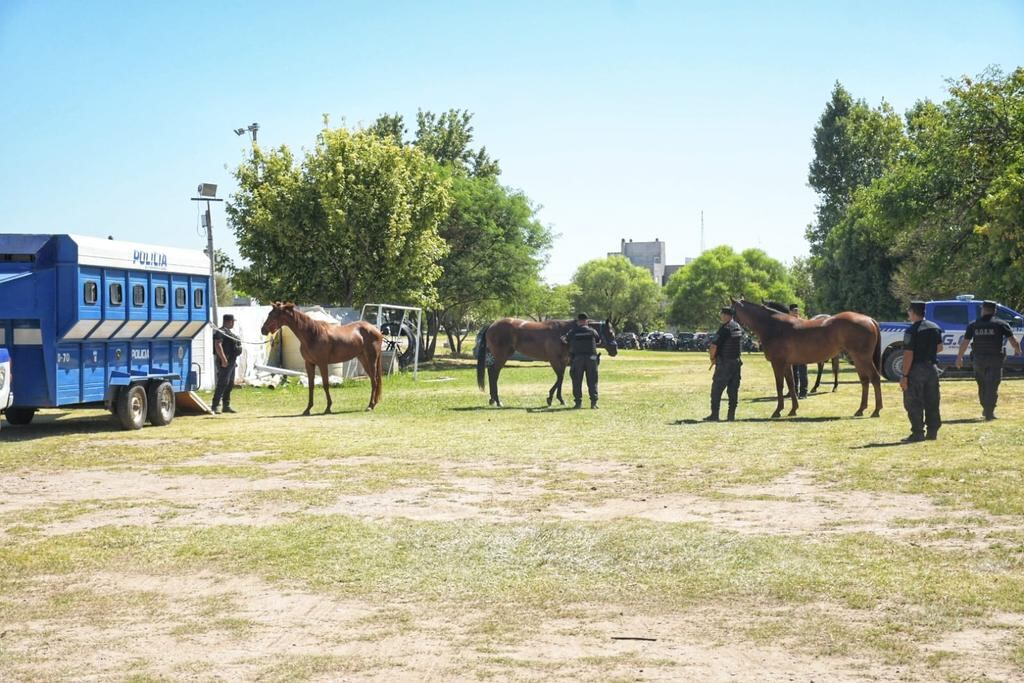 23 allanamientos conformaron el operativo.