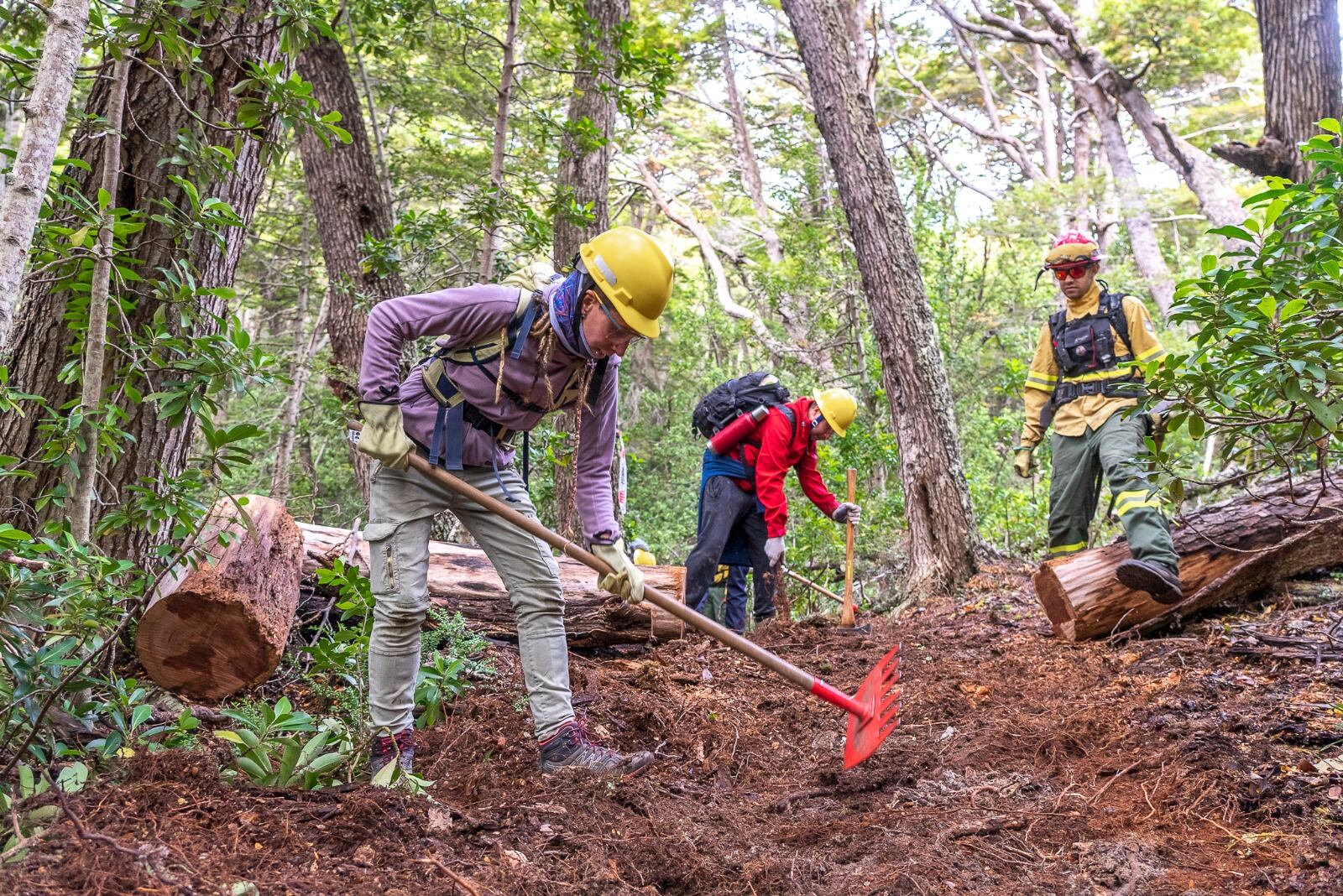 Ushuaia: finalizó el primer curso inicial para combatientes de incendios forestales