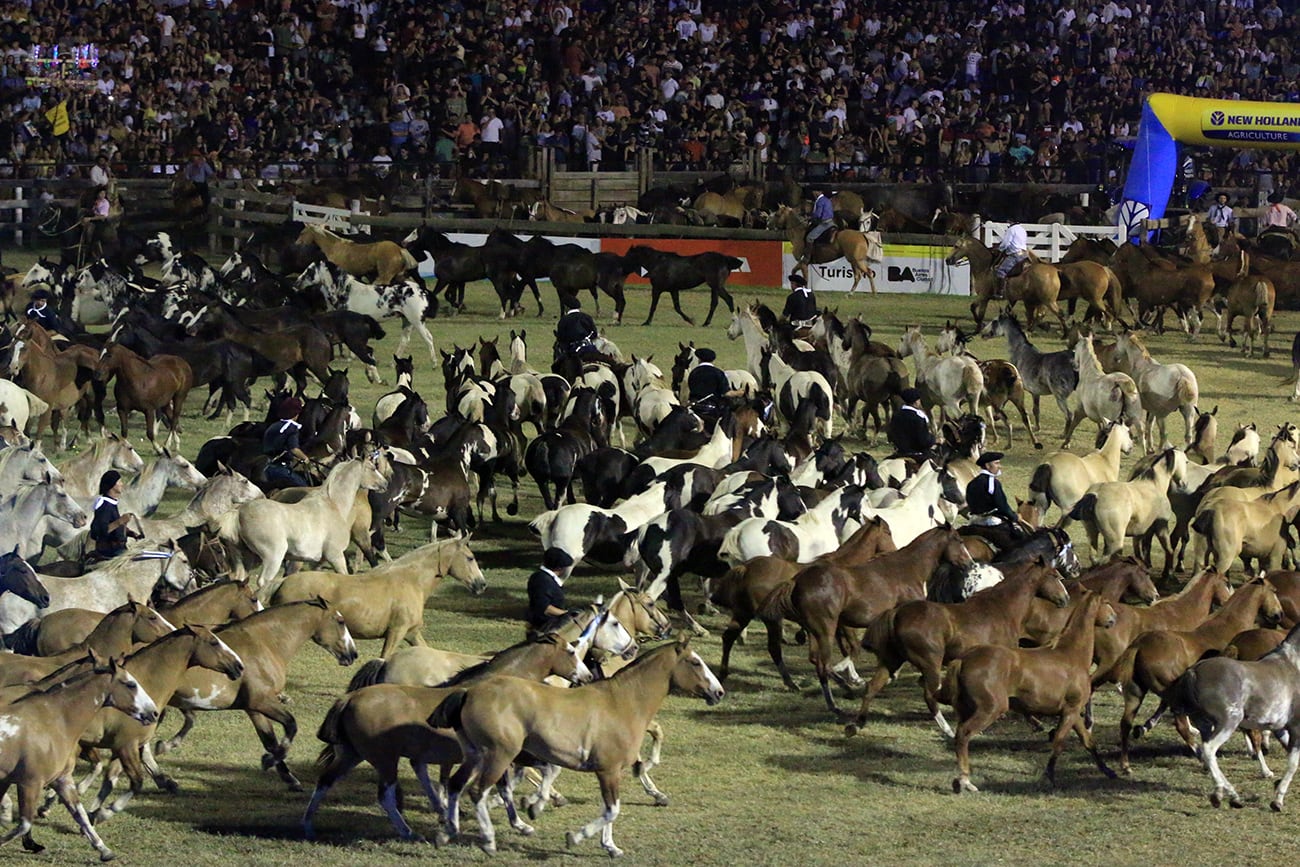 Todo lo que tenés que saber sobre el Festival de Doma y Folklore Jesús María 2024. (Gentileza Jesús María)