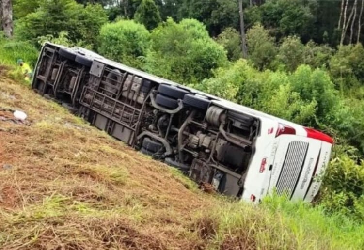 Accidente fatal en Brasil: dos argentinos entre los fallecidos.