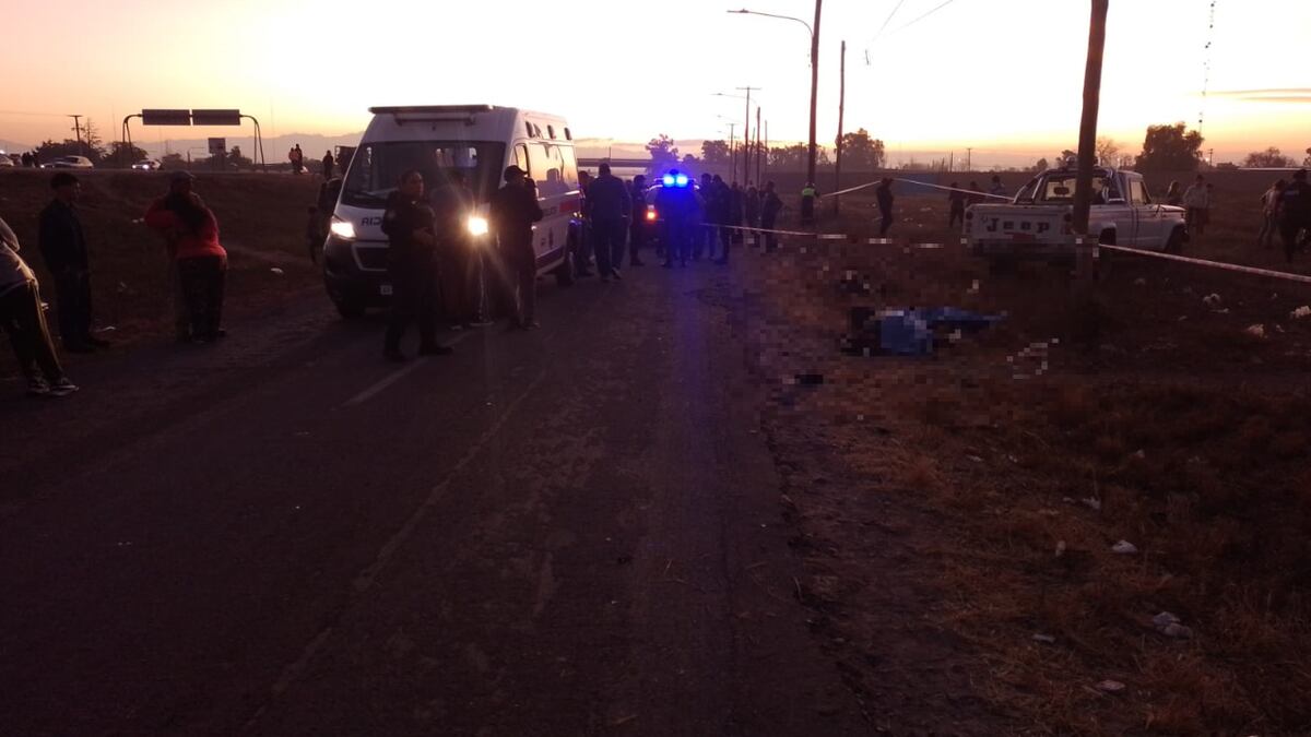 Trágico accidente en San Martín: un hombre de 72 años atropelló con su camioneta a una madre e hija y las mató