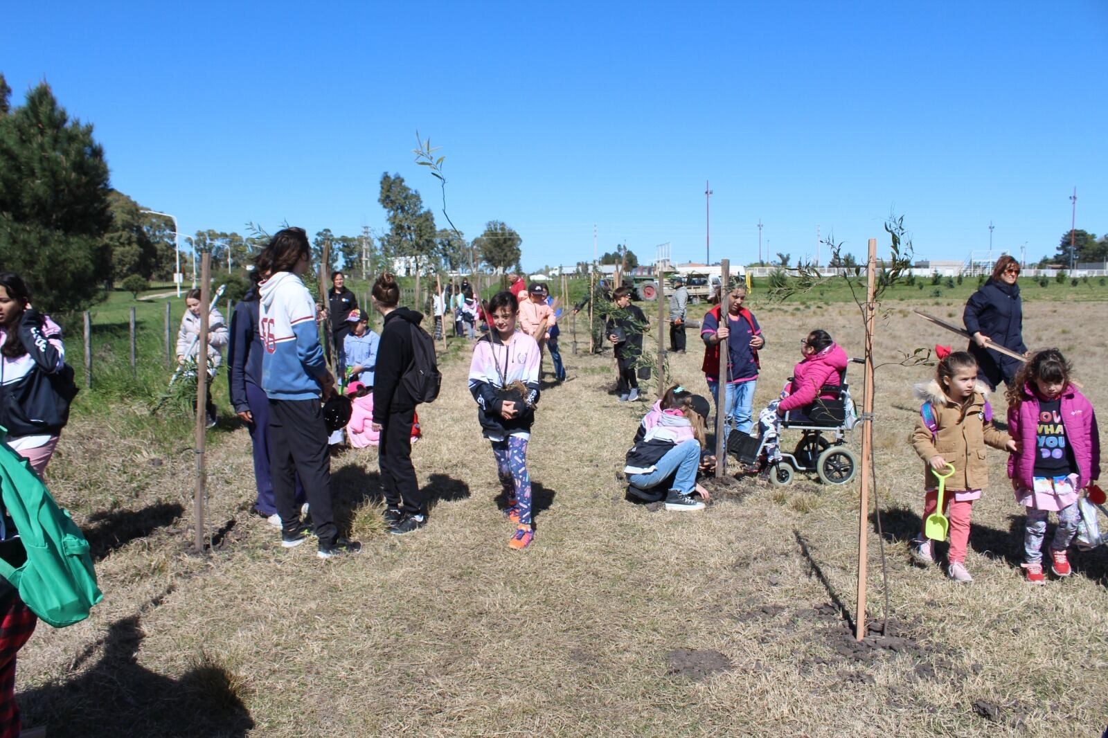 Tres Arroyos: Se realizó la jornada de forestación en el Polo Educativo