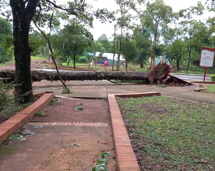 Se mantienen vigentes los trabajos de asistencia por el temporal en zona Centro.