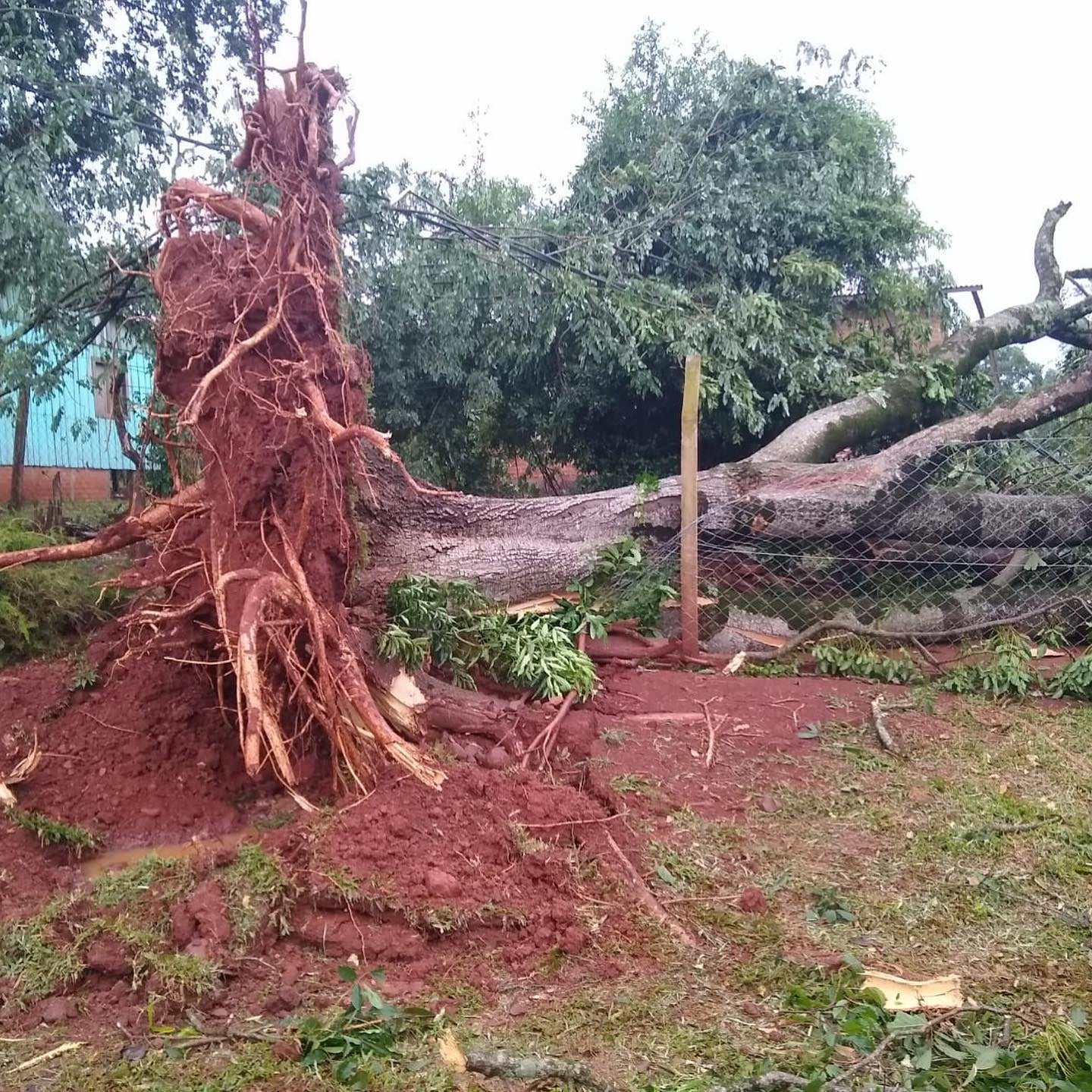 Fuerte temporal causó destrozos en Eldorado y zonas aledañas.