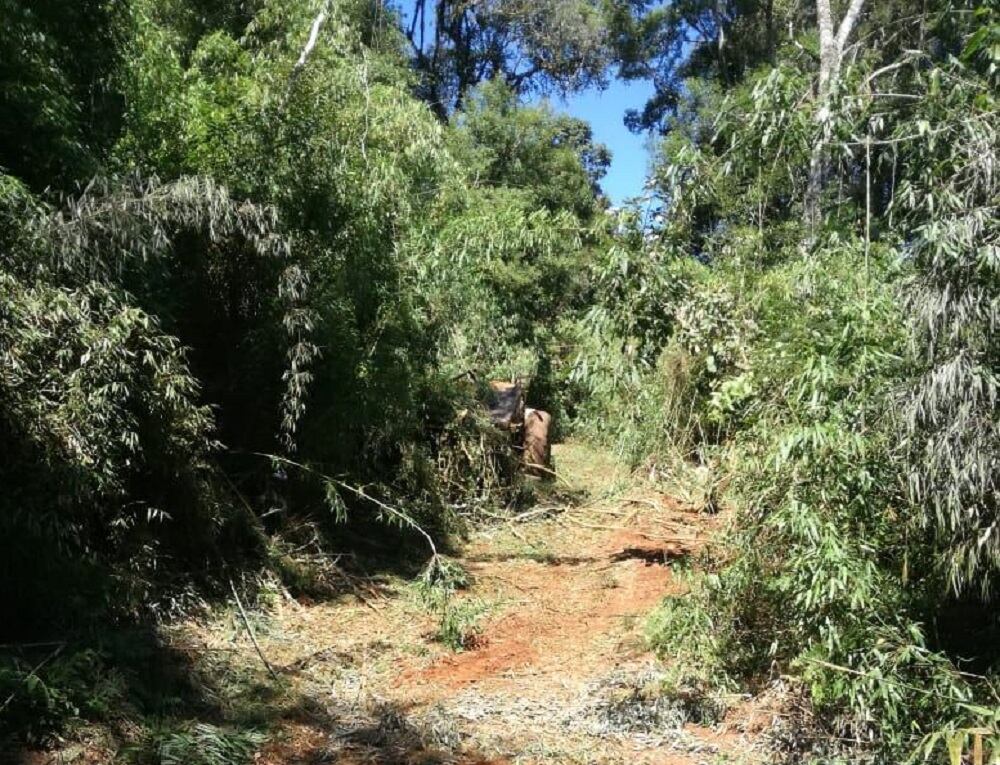 Durante una jornada laboral, un trabajador rural perdió la vida