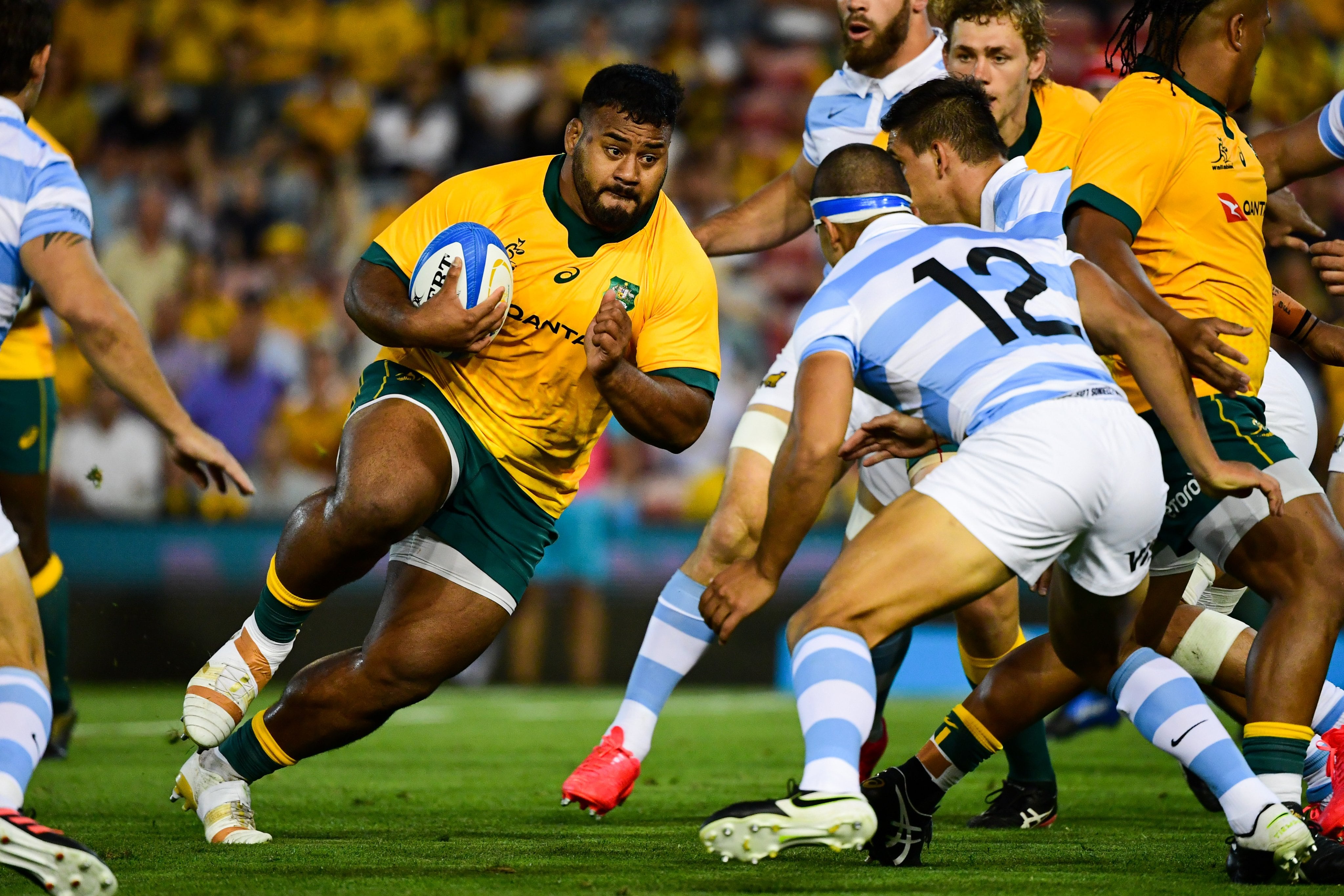 Los Pumas empataron ante los Wallabies y están invictos en el Tres Naciones.