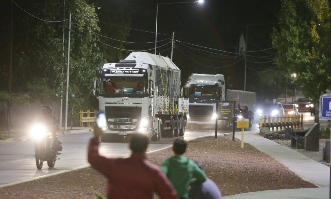 Viajan rumbo al santuario en Brasil las elefantas Pocha y Guillermina.