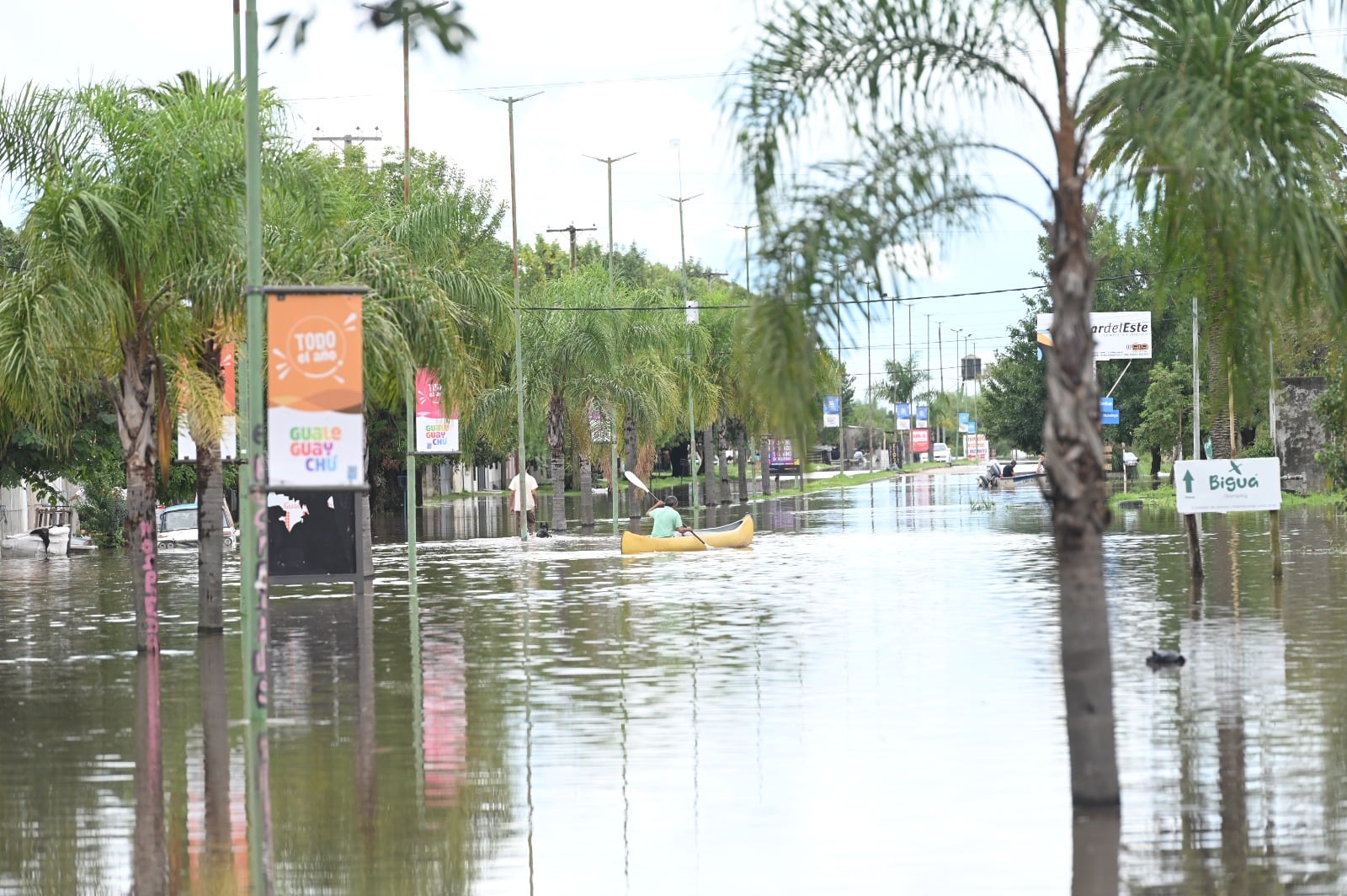 Gualeguaychú: alertan sobre enfermedades que trae la inundación