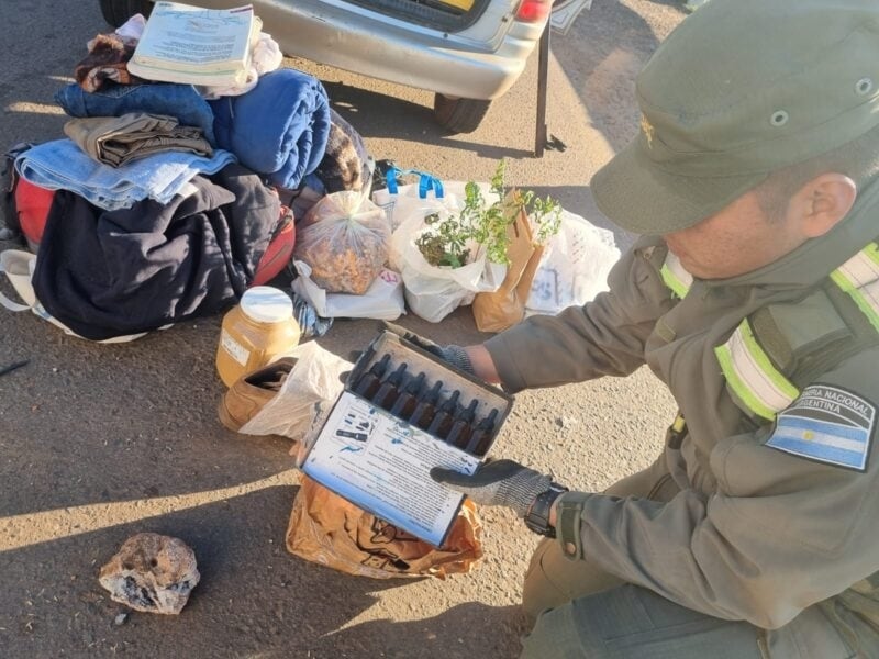 Partieron desde El Soberbio con marihuana líquida rumbo a Santa Fe pero fueron atrapados en Corrientes.