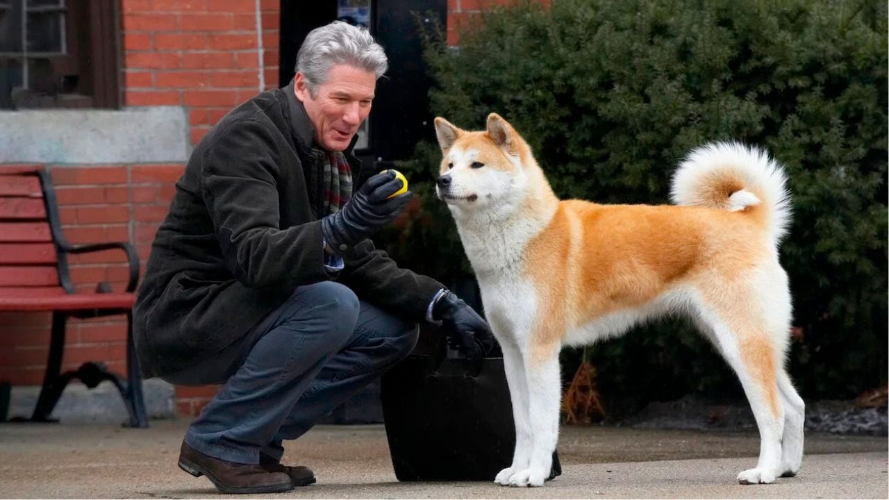 La historia de Hachiko en la película "Siempre a tu lado" de 2009.