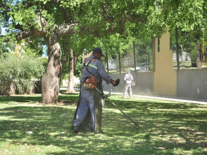 Tareas de mantenimiento de espacios verdes-