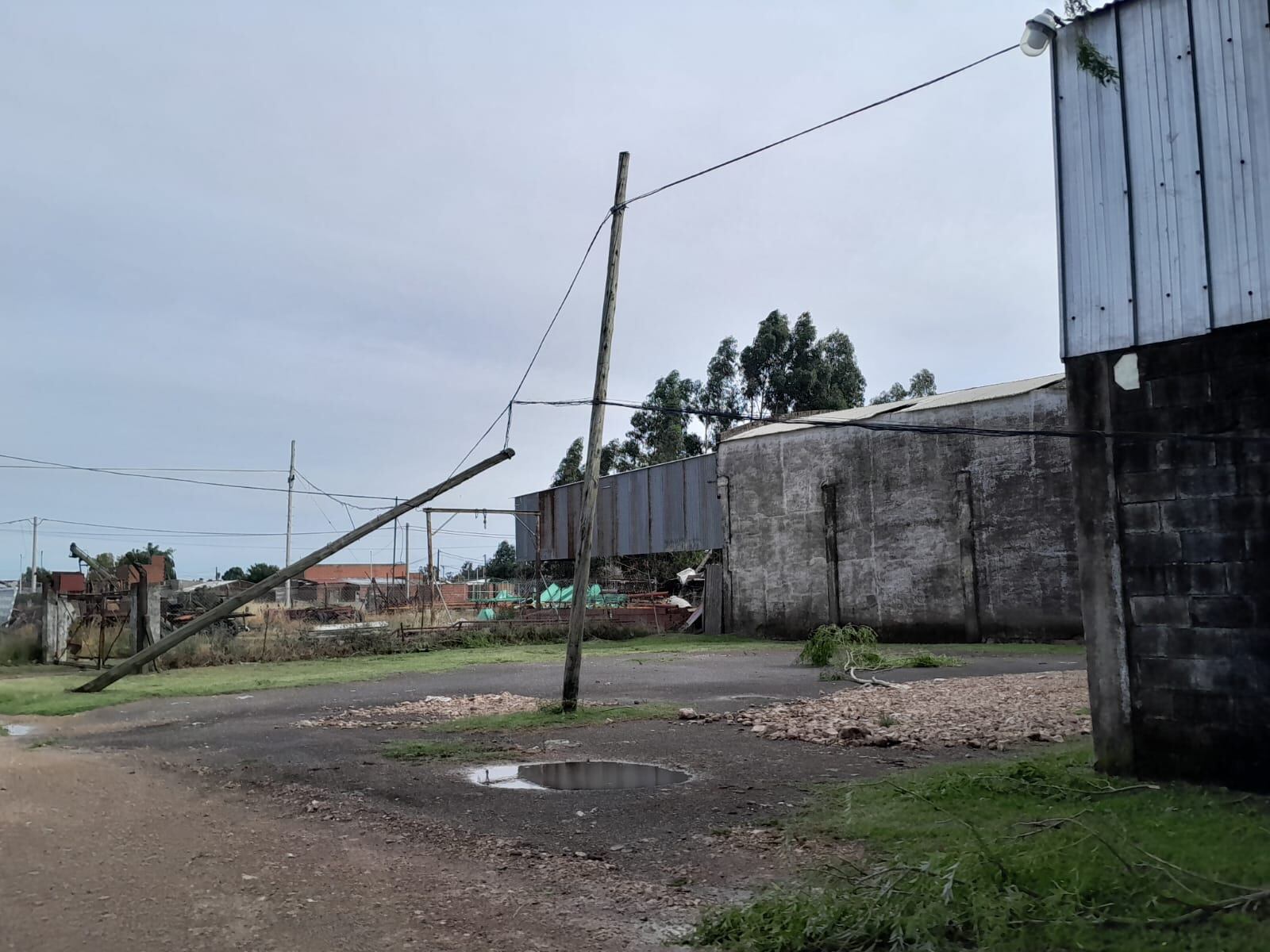 Temporal en Tres Arroyos: evacuados, árboles  caídos, techos volados y daños