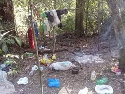 Logran desbaratar campamento de cazadores furtivos en Parque Foerster