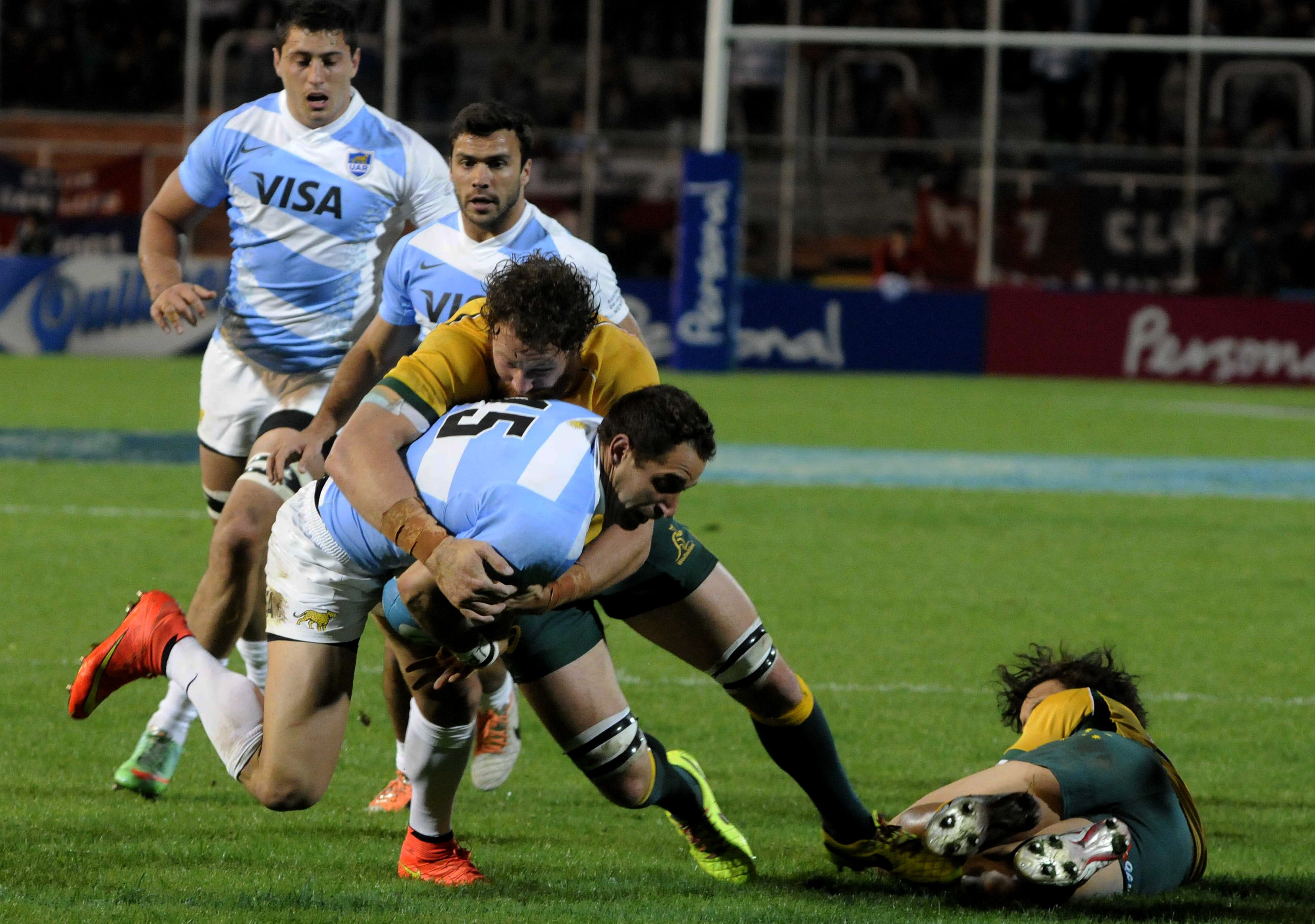 Los Pumas en 2014