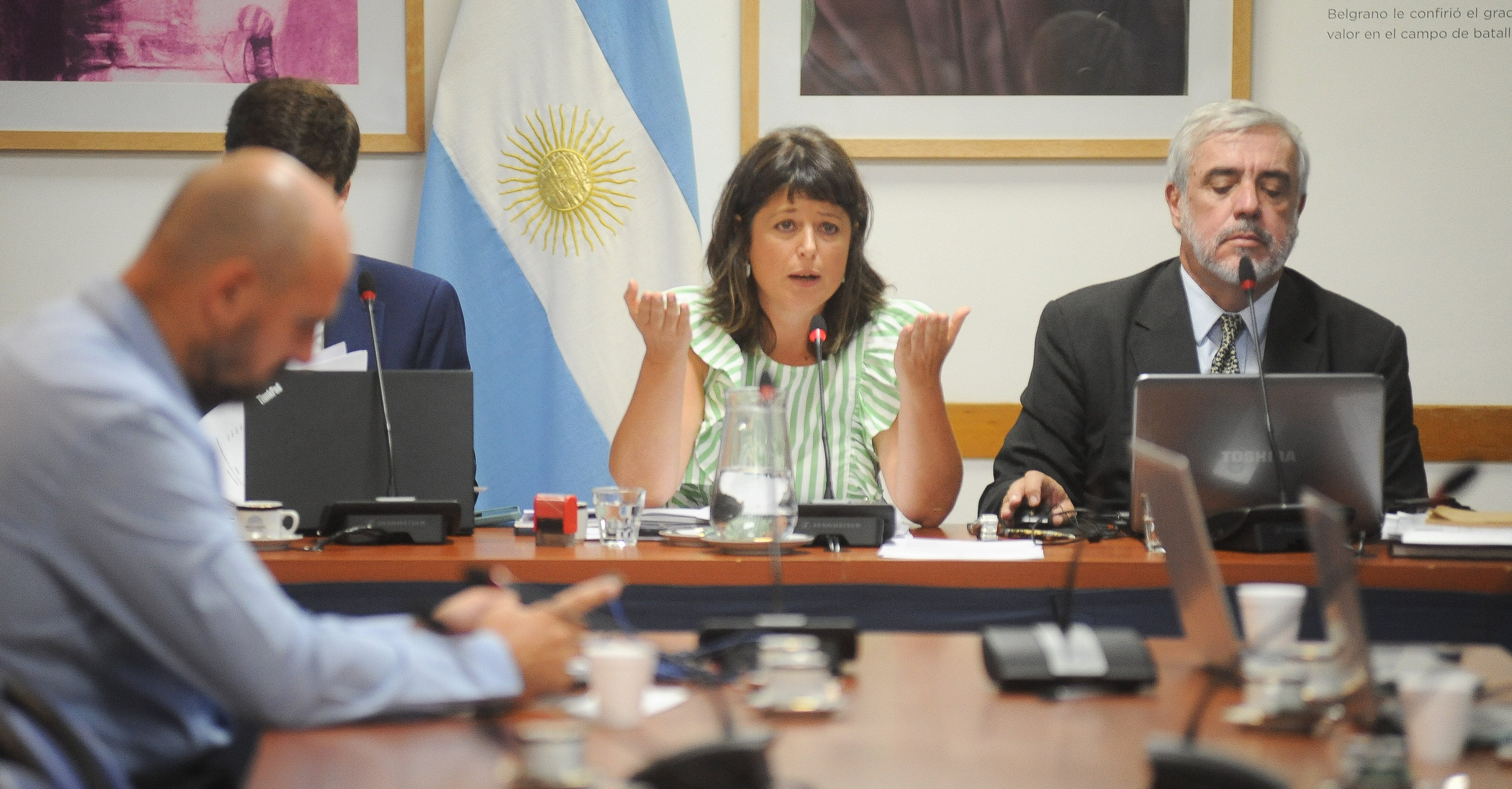 Comisión de Juicio Politico que preside la oficialista Carolina Gaillard. 
Foto Federico Lopez Claro