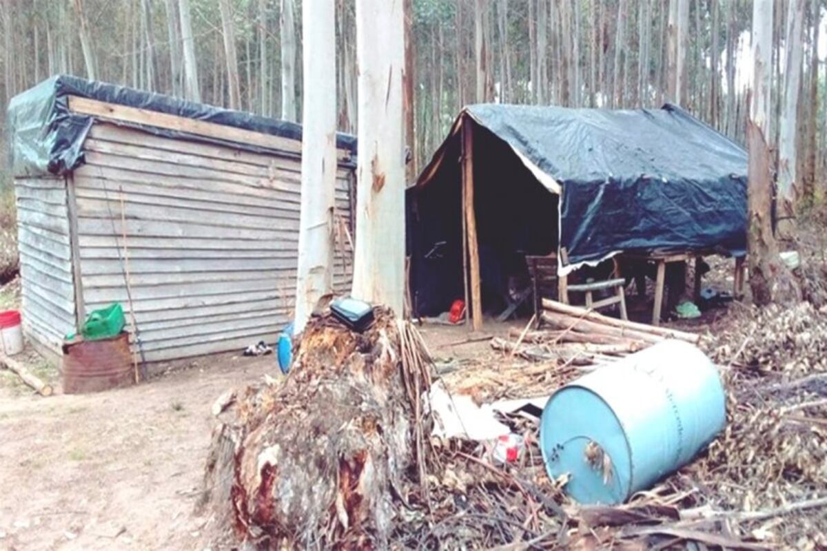 Encuentran 23 trabajadores forestales no registrados y en condiciones deplorables