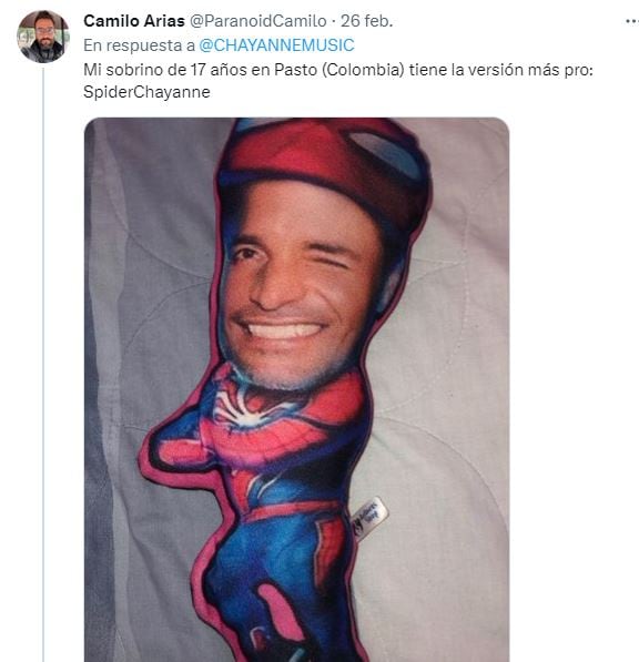 Almohada de Chayanne causó furor en Twitter