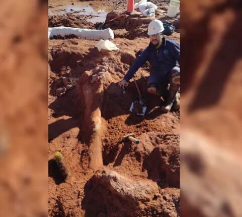 Tras las inundaciones en Neuquén, se desenterraron varios restos fósiles de dinosarios.