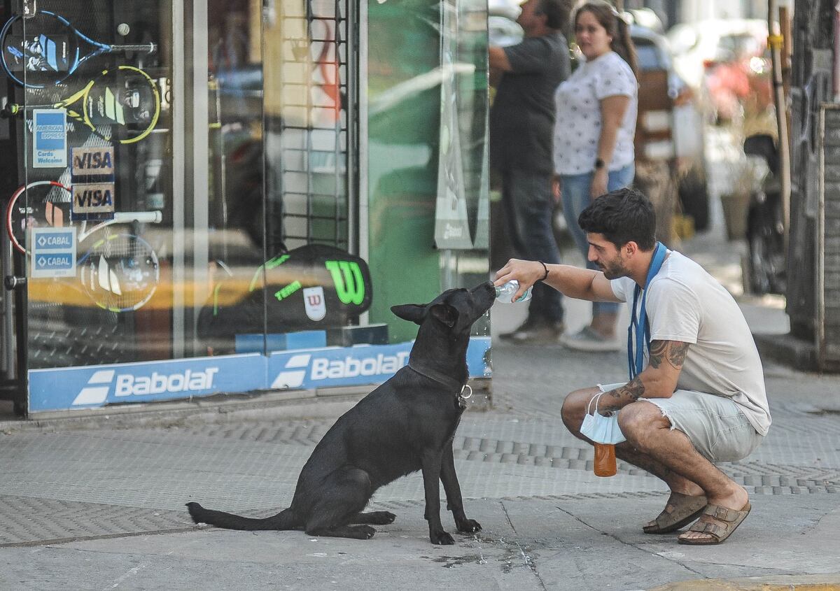 Clima en Rosario: se vienen tres días con temperaturas superiores a los 40°