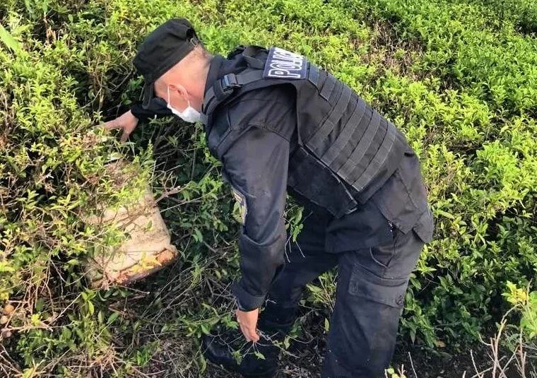 Robo a un colono terminó con un detenido.