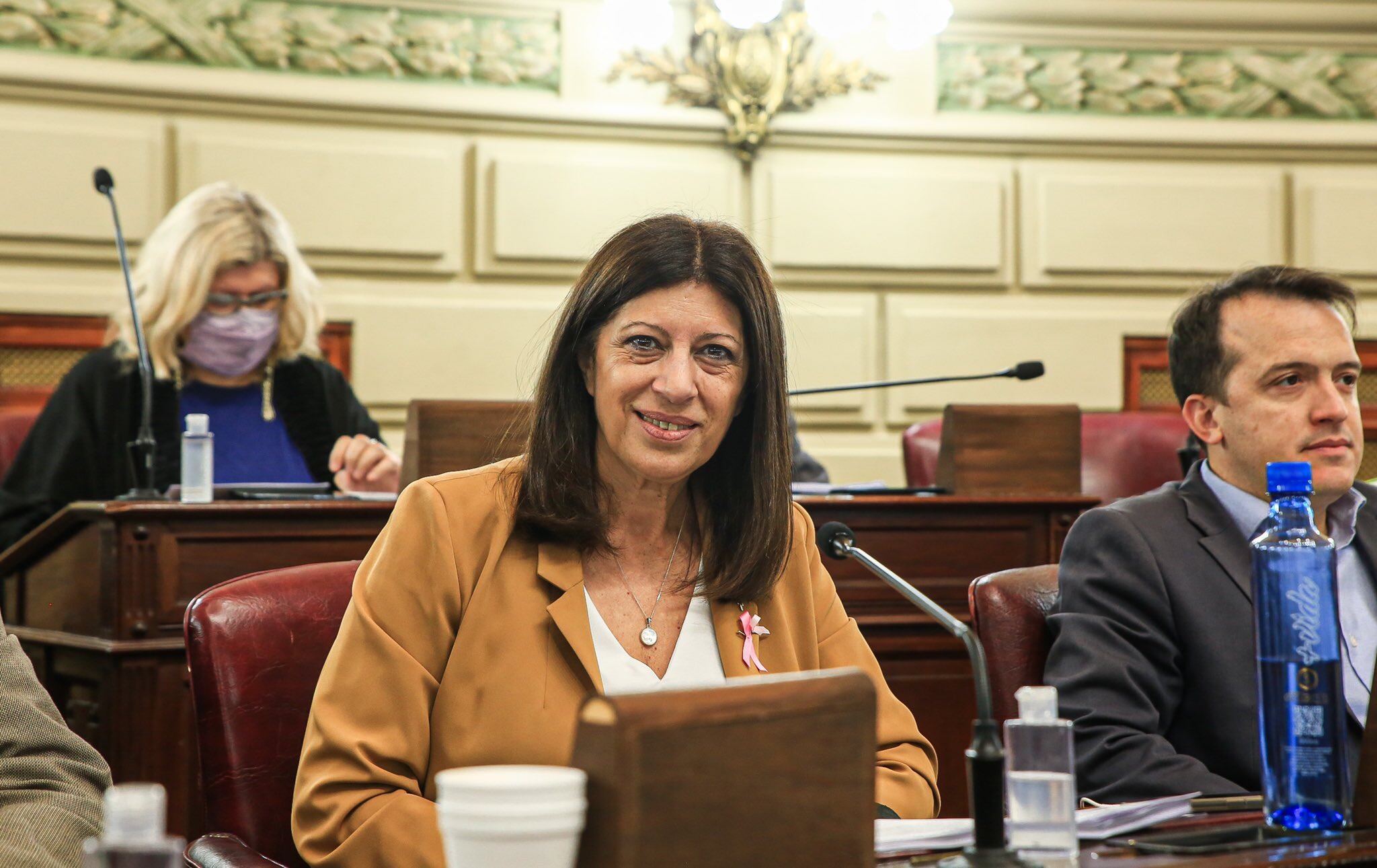 Clara García, candidata a senadora nacional por el Frente Amplio Progresista.